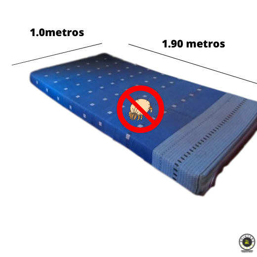 Lavado e Higienización de colchones- tipo sencillo