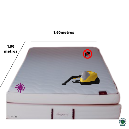 Lavado e higienización de colchones- Tipo Queen