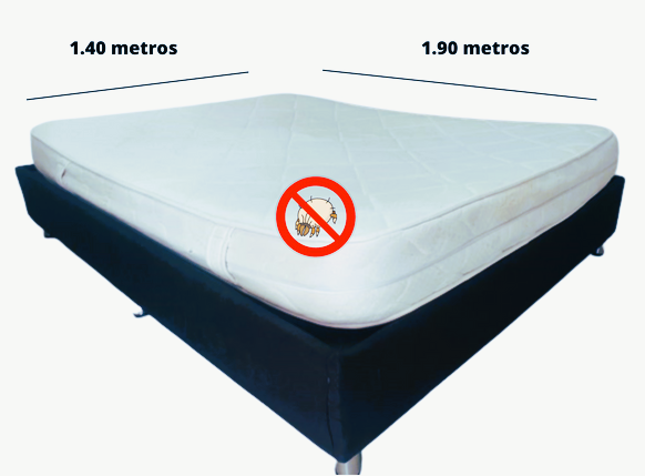 Lavado e Higienización de colchones-tipo doble