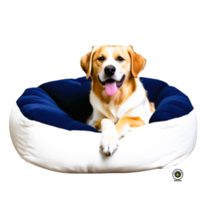Lavado e higienización de cama de mascotas- grande  *$15000 por Domicilio